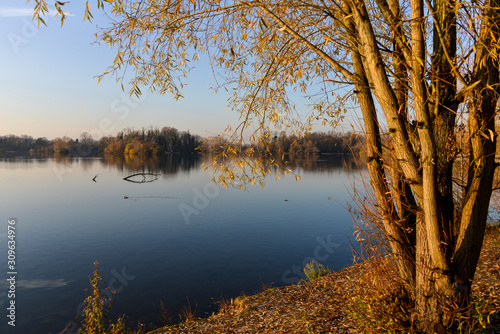 Lacs de Viry Chatillon et Grigny, Lacs revivifiés et sites naturels protégés, 91