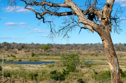 Riviere Sabie, Parc national Kruger, Afrique du Sud