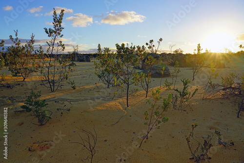 View of limestone rock formations in the Pinnacles Desert in Nambung National Park, Cervantes, Western Australia