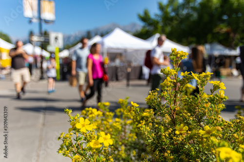 Tablou pe pânză A shallow depth of field captures blurry people shopping during a local fair for
