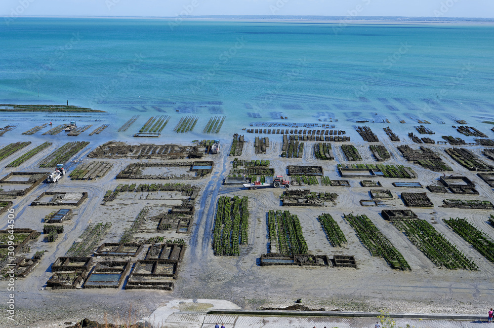 Fototapeta premium Parcs à huitres, Cancale, Ile-et-Vilaine, Bretagne, France