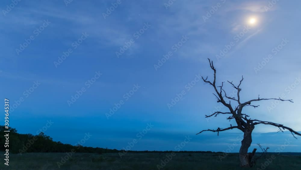 Stars and Moon timelapse with clouds passing dead tree on foreground. Cloudy night sky. Stars and Moon timelapse with clouds passing dead tree on foreground. Cloudy night sky.