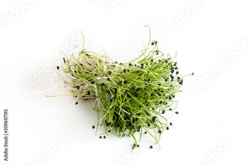 fresh bunch onion sprouts, top view, isolated on white background