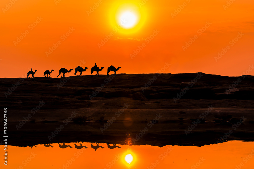 Amazing sunset and sunrise.Silhouette of camel caravan going through on the lake. Vector illustration for islamic background, poster, calendar, banners, postcards.With blurred shadow.