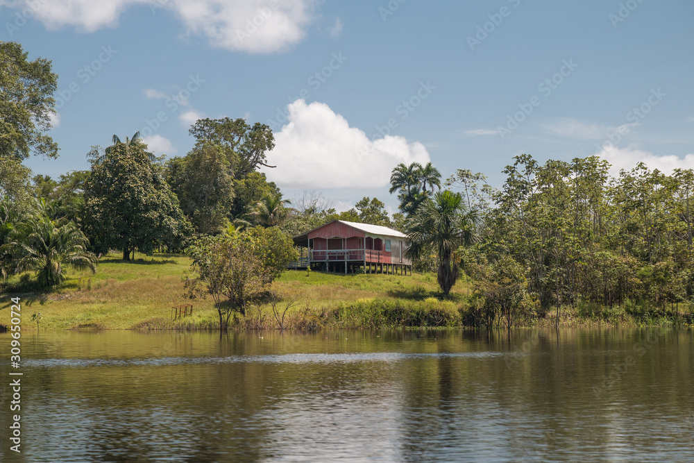 Local living houses in the Amazon region, Brazil, South America Local living houses in the Amazon region, Brazil, South America