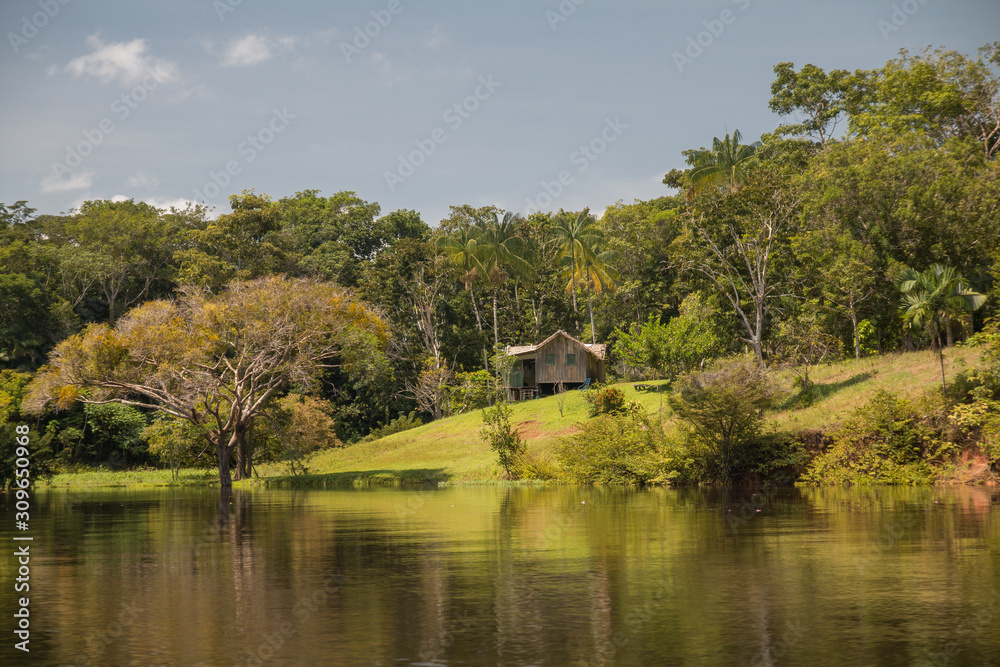 Local living houses in the Amazon region, Brazil, South America Local living houses in the Amazon region, Brazil, South America