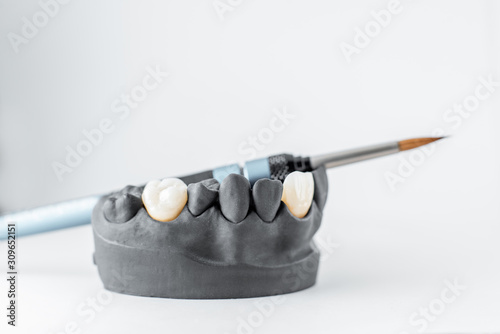 Close-up on plaster model of painted in black artificial jaw with implant crown and paintbrush on the white background. Concept of aesthetic dentistry and implantation