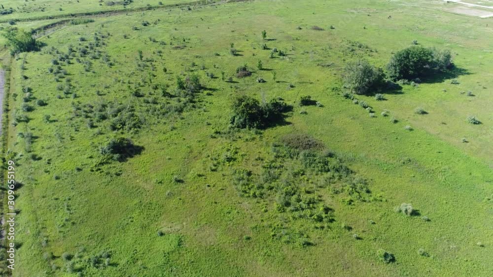 Forward Aerial Over Green Farmers Field With Green Shrubbery And Trees Forward Aerial Over Green Farmers Field With Green Shrubbery And Trees