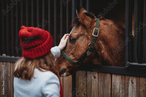 Horse eyes in focus. Horse look. Girl and horse. Girl in red hat. Young girl touching the head of a horse. Concept about love between people and animals. Focus on pet face. 