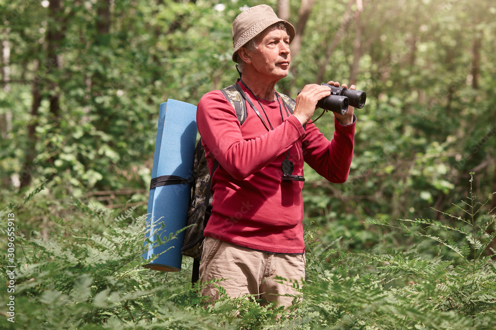 Outdoor shot of senior man with backpack and rug, holding binoculars, looking far away in forest, enjoying beautiful nature, male wearing casual outfit and hat, posing in wood surrounded with trees.