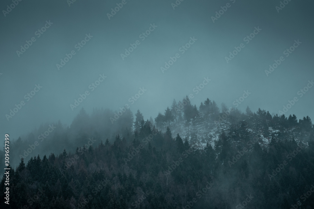 Fototapeta premium Beautiful winter mountain nature landscape scenery with moody weather clouds and pine tree silhouettes in the fog clouds. Mountain Forest, Brocken, Harz National Park Mountains in Germany