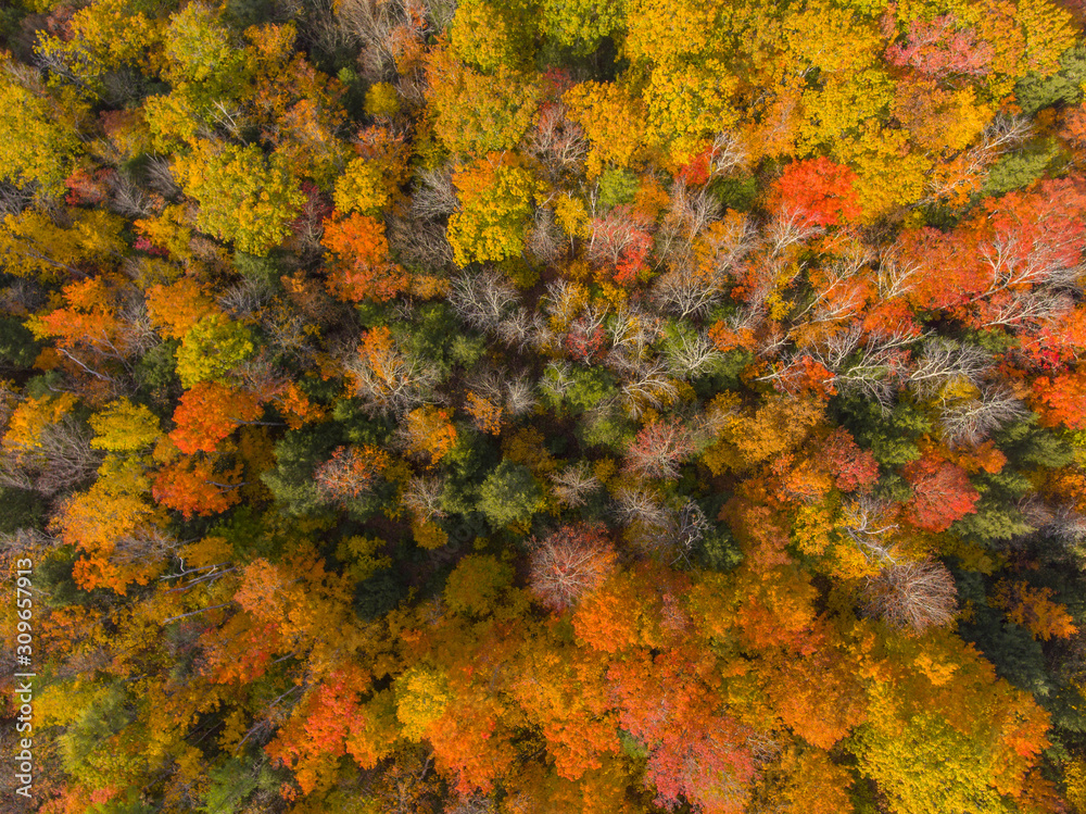 White Mountain National Forest top view with fall foliage, Town of Sanbornton, New Hampshire NH, USA. White Mountain National Forest top view with fall foliage, Town of Sanbornton, New Hampshire NH, USA.
