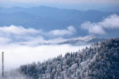 Landscape from Clingmans Dome with snow, fog, and frosted trees, Great Smoky Mountains National Park, Tennessee, USA