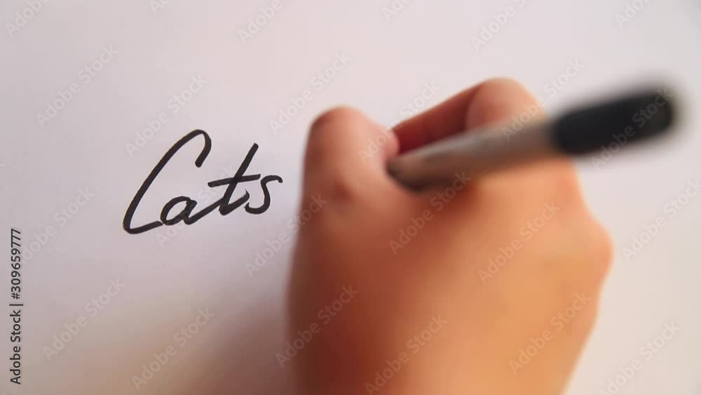 Hand writing Cats and dogs on white paper Hand writing Cats and dogs on white paper