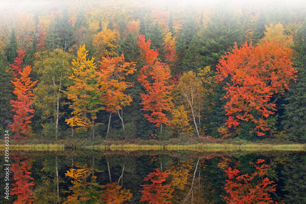 Autumn landscape of the shoreline of Doe Lake with mirrored reflections in calm water, Hiawatha National Forest, Michigan's Upper Peninsula, USA