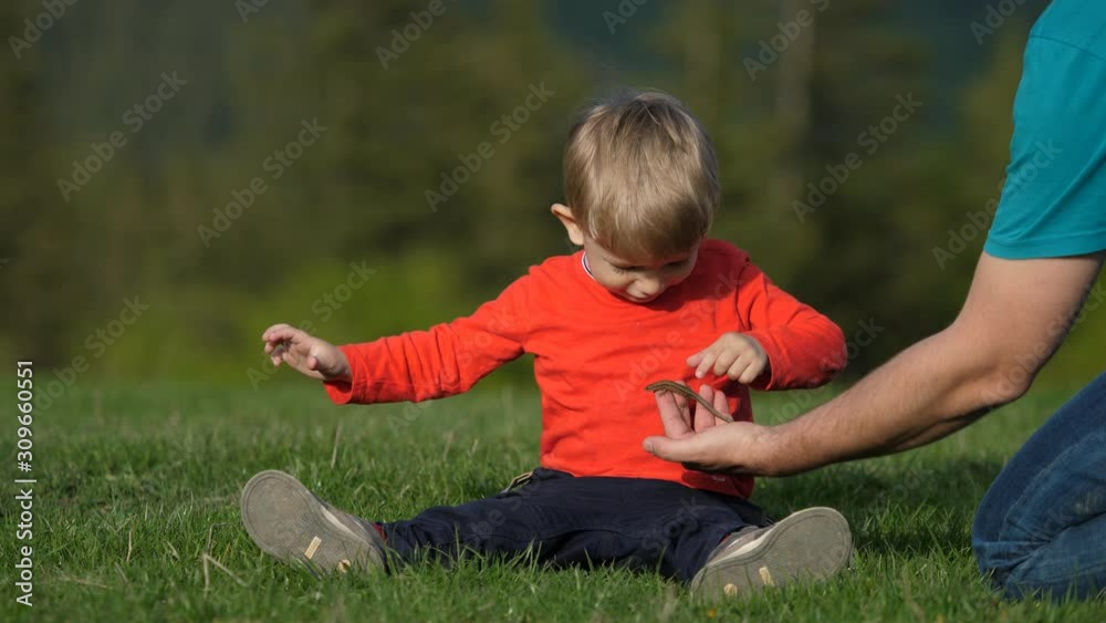 Father hand showing lizard to son in nature Father hand showing lizard to son in nature