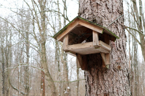 wooden bird feeder on a tree closeup