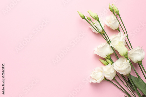 White eustoma flowers on pink background with copyspace. Minimalistic composition for the holidays.