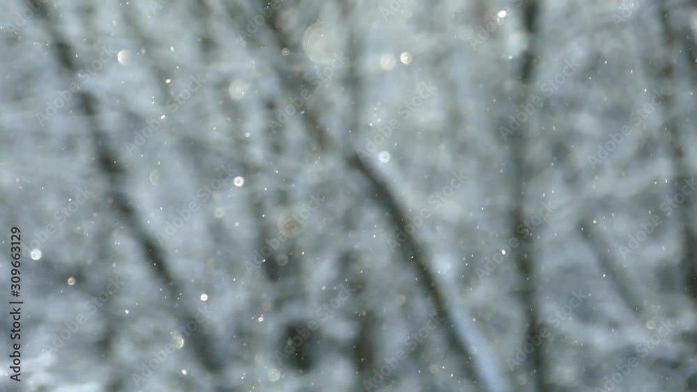 Fine snow slowly falls sparkling in the rays of the winter sun against a background of defocused tree trunks.Slow-motion Fine snow slowly falls sparkling in the rays of the winter sun against a background of defocused tree trunks.Slow-motion