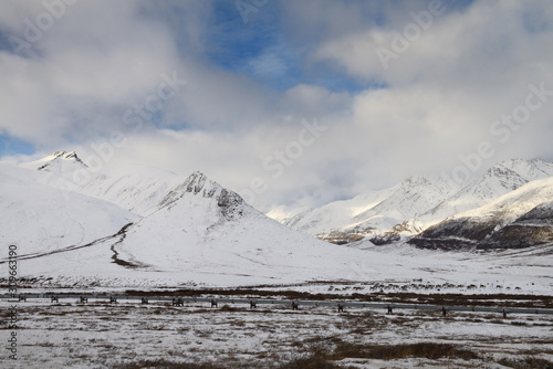 Caribou herd and Alyeska oil pipeline in the Brooks Range mountains of Alaska