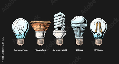 evolution set of light bulb
