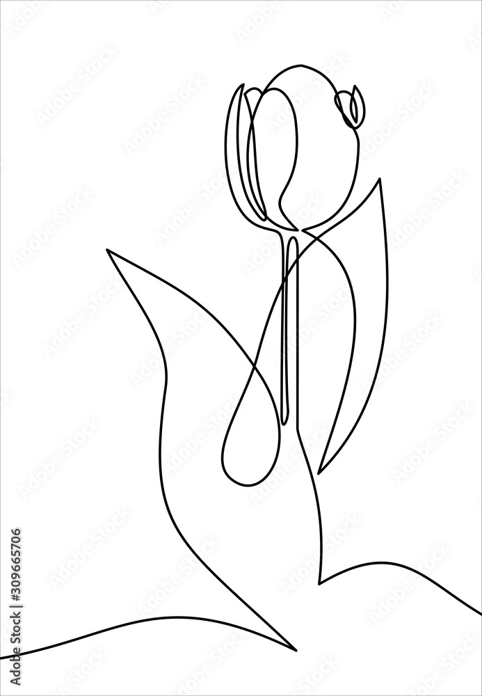 Tulip one line drawing. Continuous line flower. Tulip one line drawing. Continuous line flower.