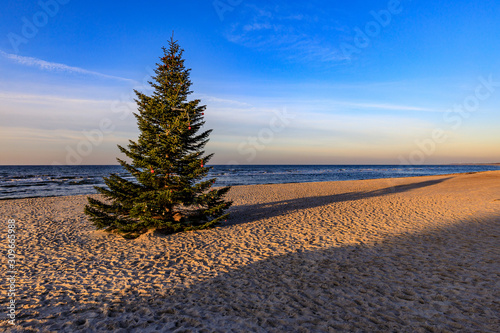 Fototapeta Naklejka Na Ścianę i Meble -  Weihnachtsbaum am Ostseestrand auf dem Darß