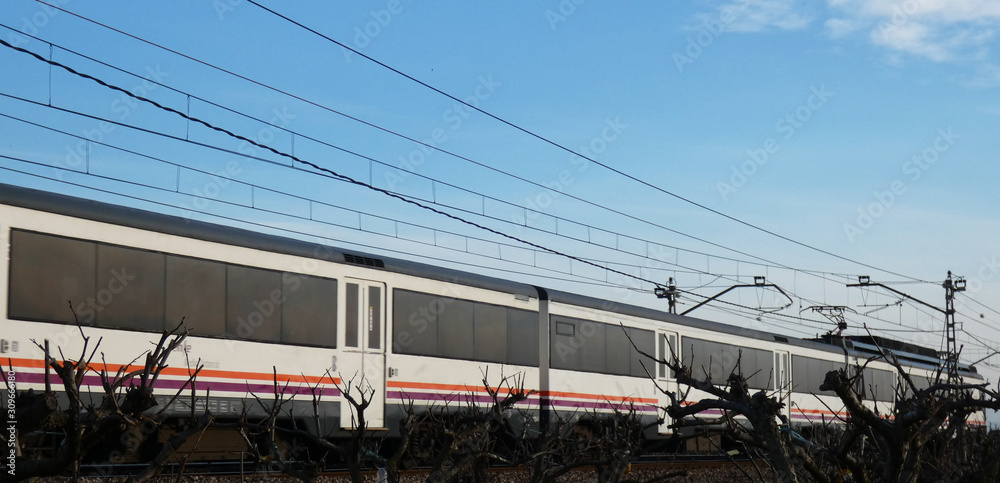 Naklejka premium tren