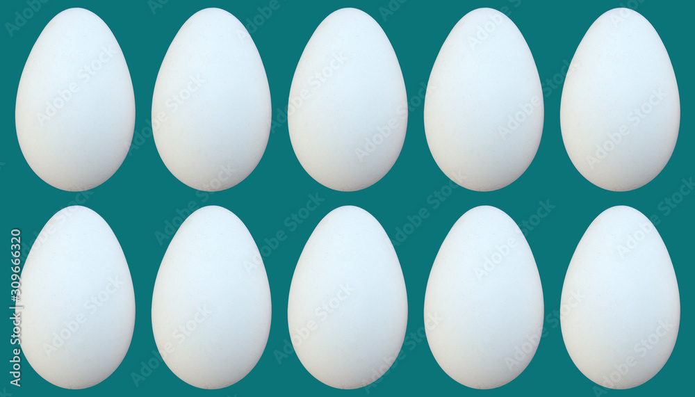 oeufs de cane blanc ,isolé oeufs de cane blanc ,isolé