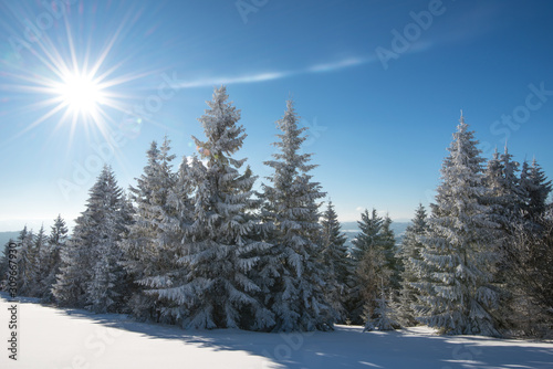 Mesmerizing winter landscape with a snowy slope © YouraPechkin