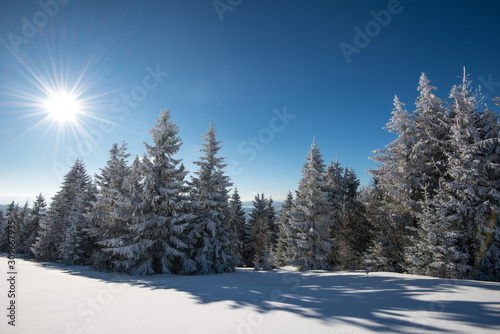 Mesmerizing winter landscape with a snowy slope