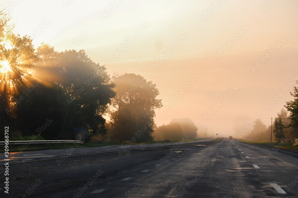 The road in the morning fog and the rays of the rising sun. Blurry trees in the fog, a pillar and a stork’s nest on it