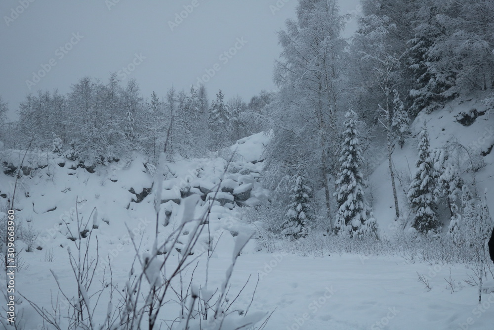 winter landscape with trees and snow winter landscape with trees and snow