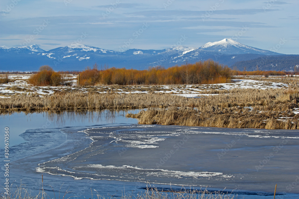Icy view of mountains and reeds in Klamath National Wildlife Refuge, Oregon Icy view of mountains and reeds in Klamath National Wildlife Refuge, Oregon
