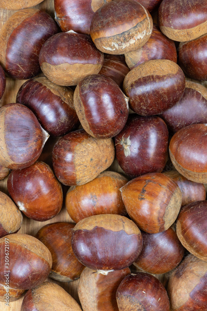 a pile of raw chestnuts waiting for roasting. Christmas winter feeling background a pile of raw chestnuts waiting for roasting. Christmas winter feeling background