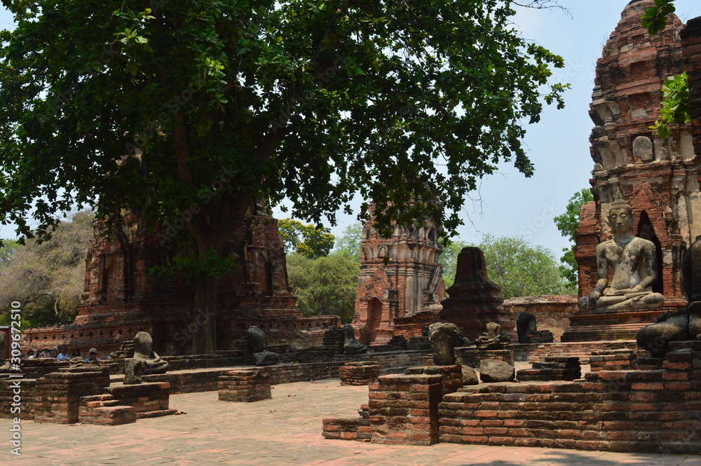 Naklejka premium Thailand Architecture Garden Bangkok Park