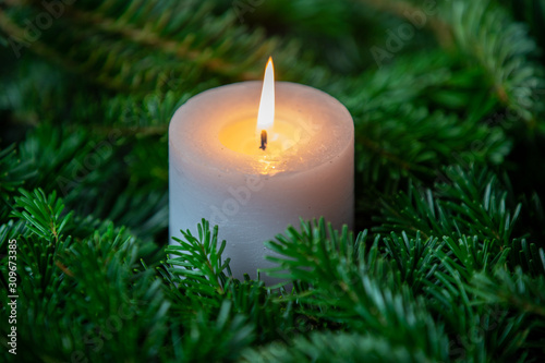 Christmas motif with white burning candle surrounded by Nordmann fir branches