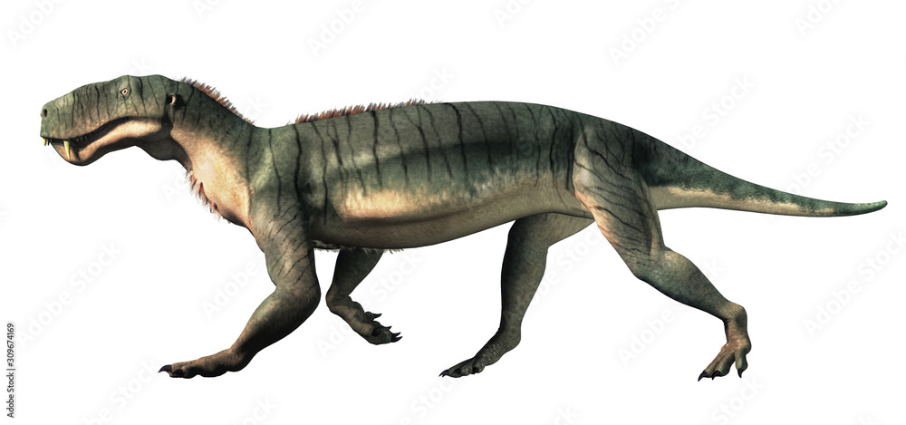 Fototapeta premium Gorgonops was a member of the Therapsids, an order that includes the ancestors of mammals. They existed before the dinosaurs and are extinct. 3D Rendering. On a white background.