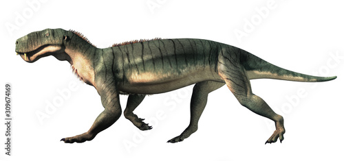 Gorgonops was a member of the Therapsids  an order that includes the ancestors of mammals. They existed before the dinosaurs and are extinct.  3D Rendering. On a white background.