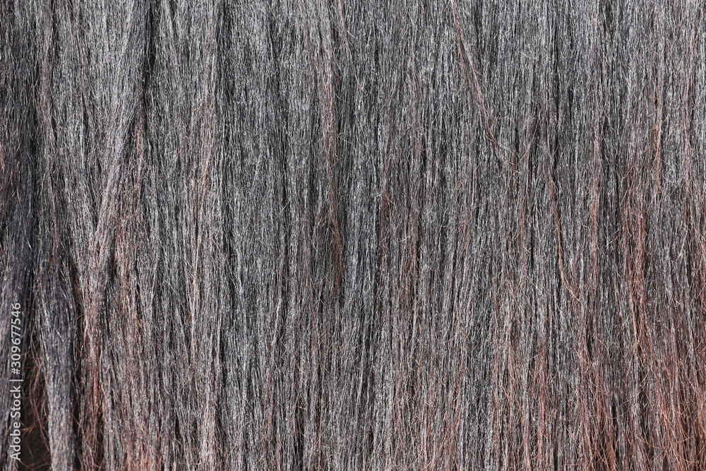 Horse hair closeup as a natural background Horse hair closeup as a natural background