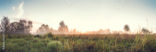 foggy morning in the village. meadow, grass, low visibility