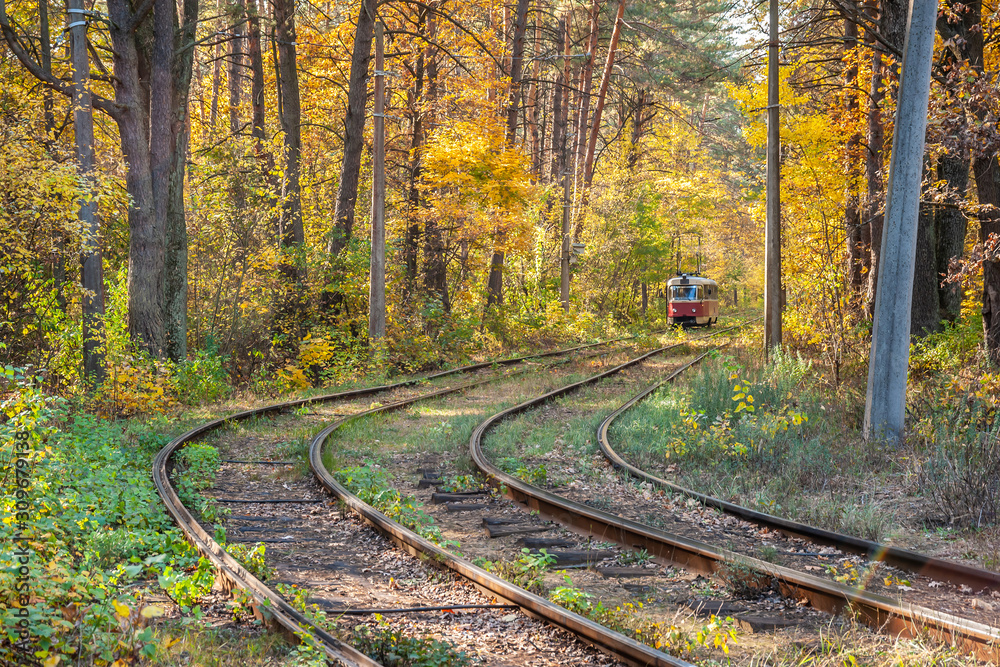 Tram track with tram in the middle of autumn forest. Tram track with tram in the middle of autumn forest.