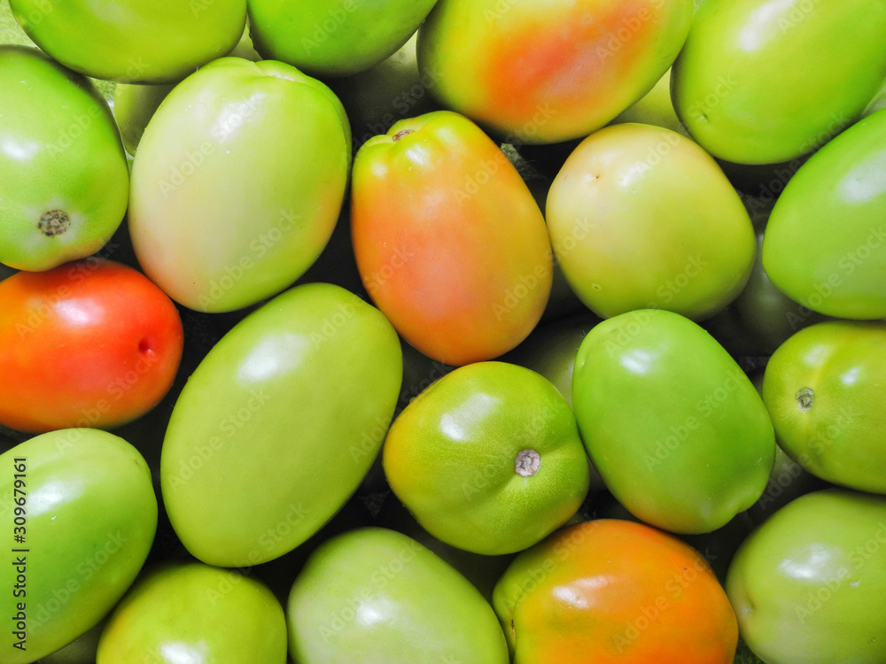 Natural background from fresh unripe tomatoes. Wallpaper with harvest. Natural background from fresh unripe tomatoes. Wallpaper with harvest.