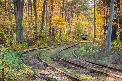Tram track with tram in the middle of autumn forest.