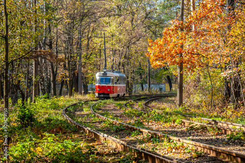 Tram track with tram in the middle of autumn forest.