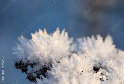 Closeup of ice crystal on top of a plant