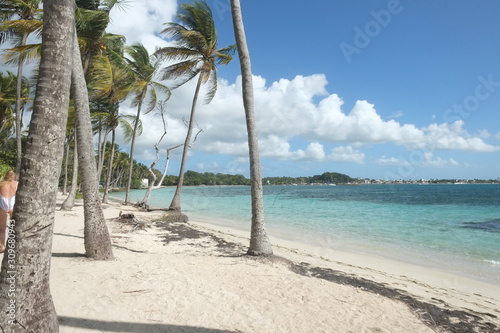 A beautiful beach in Guadeloupe. The beach of the Caravelle in Sainte-Anne .