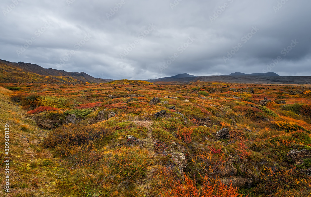 Volcanic area in Iceland. Location: geothermal area Hverir, Myvatn region, North part of Iceland, Europe. September 2019