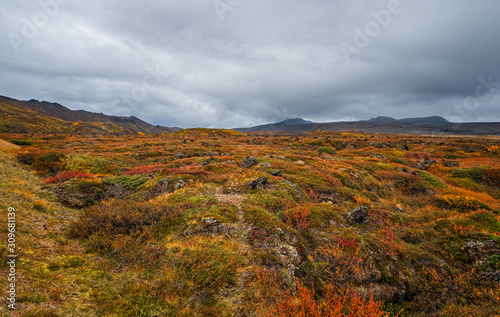 Volcanic area in Iceland. Location: geothermal area Hverir, Myvatn region, North part of Iceland, Europe. September 2019
