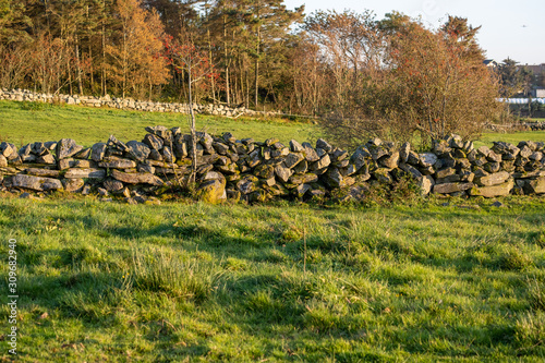 A row of beautifully stacked stones in a meadow